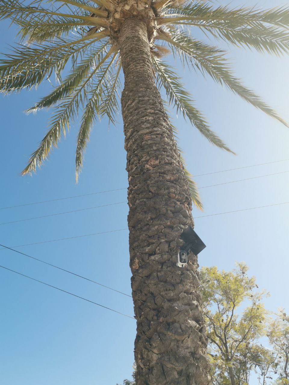 Alarmsysteem Calpe installatie